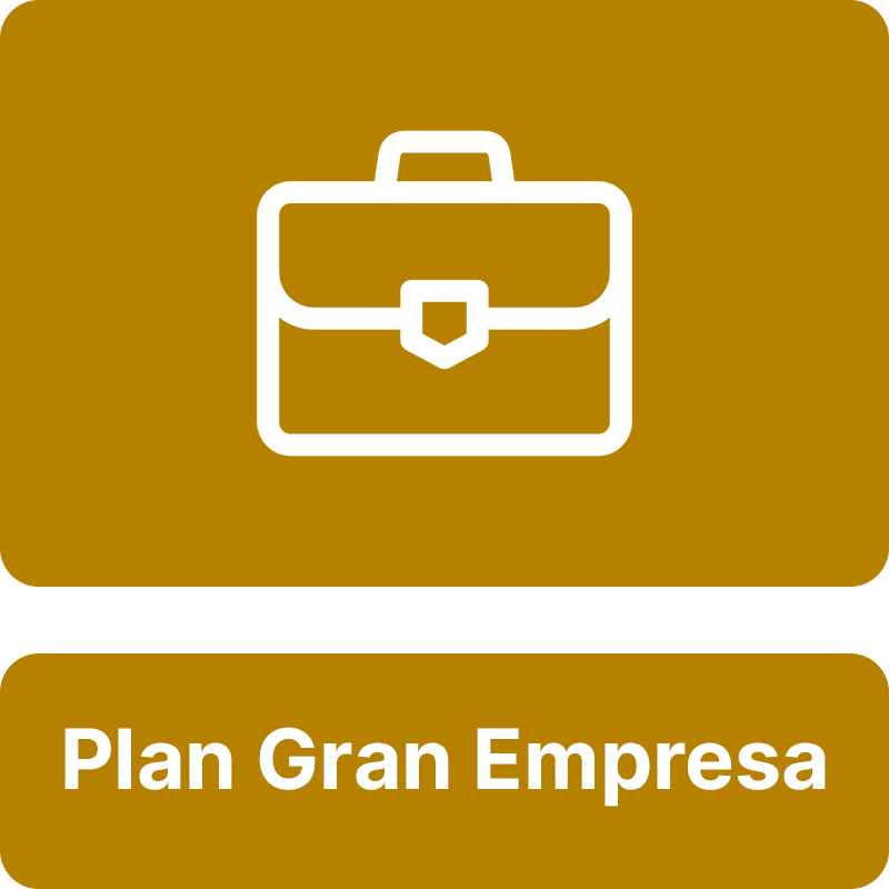 Plan Gran Empresa